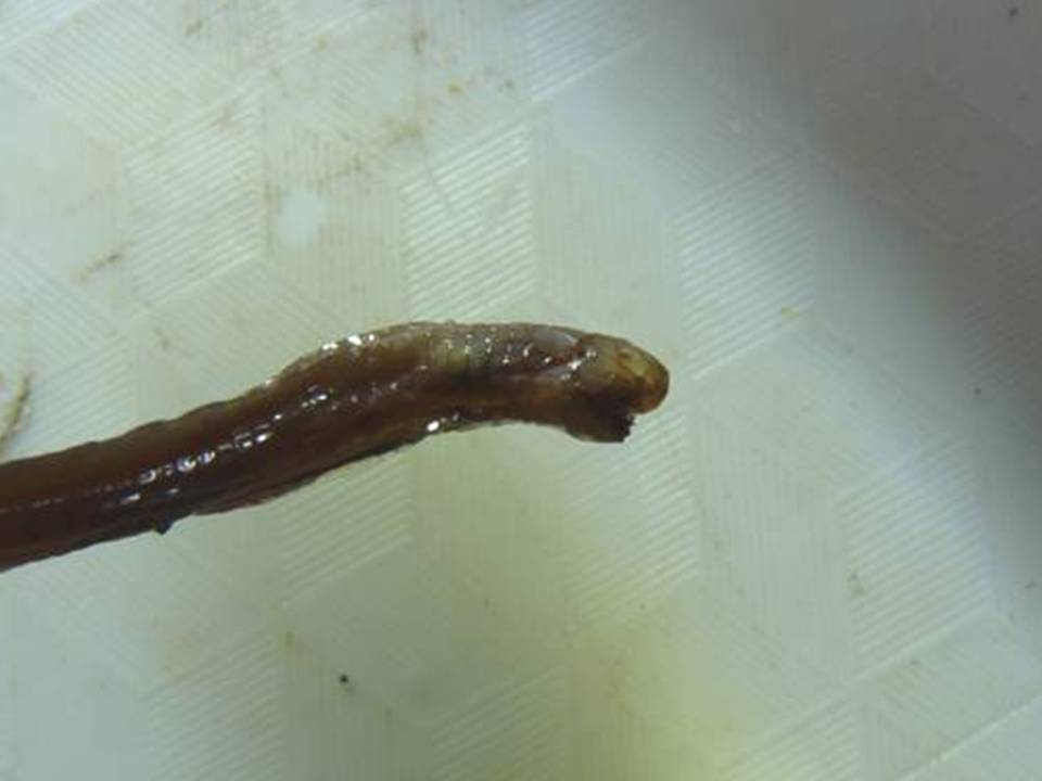 FIGURE 3 FIGURE 3